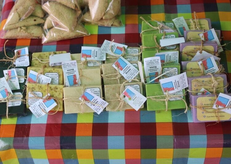 Con ‘Rutas de la Salud’ abastecen de medicamentos a hospitales de Tamaulipas