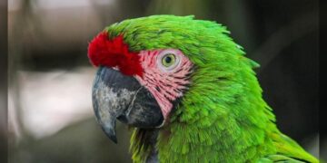 Crece la familia Tamatán; hay 25 nuevos huéspedes