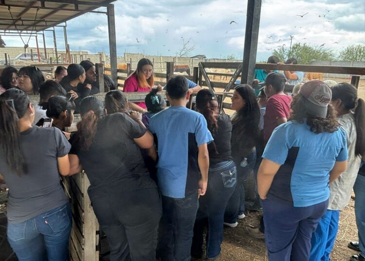 DIOS Gobierna NUEVO Laredo A.C. Impulsa la Educación con Prácticas Veterinarias Avanzadas