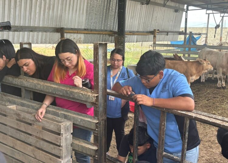 DIOS Gobierna NUEVO Laredo A.C. Impulsa la Educación con Prácticas Veterinarias Avanzadas