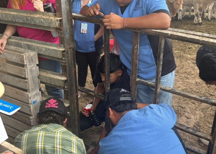 DIOS Gobierna NUEVO Laredo A.C. Impulsa la Educación con Prácticas Veterinarias Avanzadas