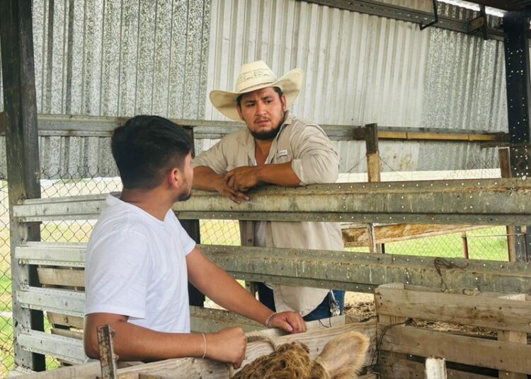 DIOS Gobierna NUEVO Laredo A.C. Impulsa la Educación con Prácticas Veterinarias Avanzadas