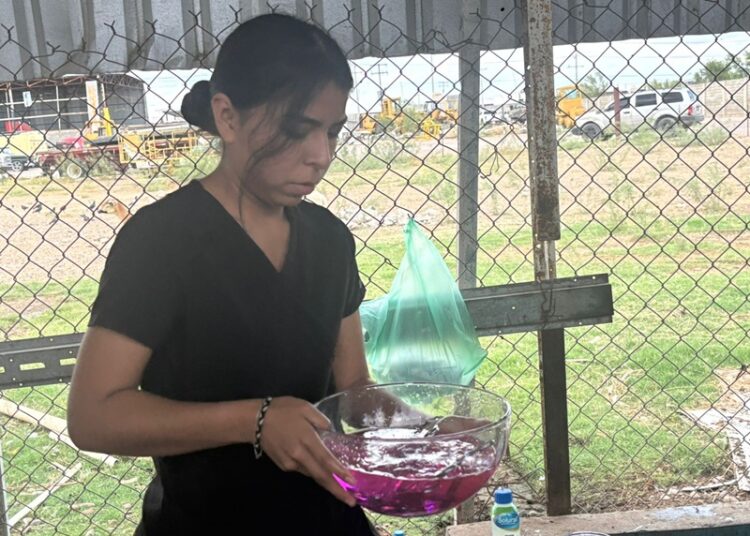 DIOS Gobierna NUEVO Laredo A.C. Impulsa la Educación con Prácticas Veterinarias Avanzadas