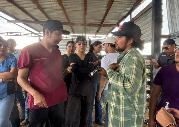 DIOS Gobierna NUEVO Laredo A.C. Impulsa la Educación con Prácticas Veterinarias Avanzadas