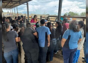 DIOS Gobierna NUEVO Laredo A.C. Impulsa la Educación con Prácticas Veterinarias Avanzadas
