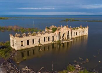 Comprará el Gobierno de Tamaulipas el sorgo a mejor precio