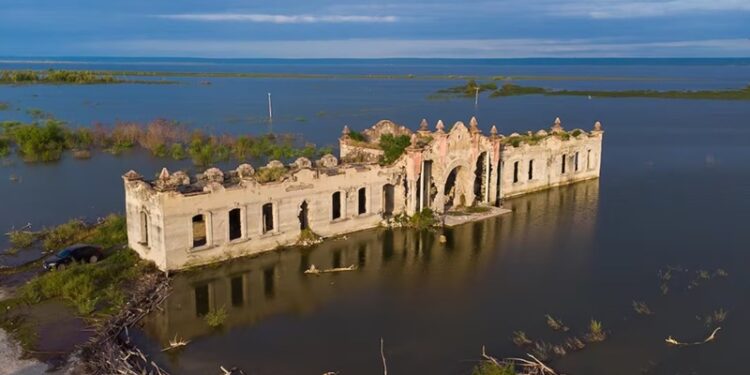 Comprará el Gobierno de Tamaulipas el sorgo a mejor precio