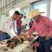 Exhiben artesanos rurales su talento en la Torre Bicentenario