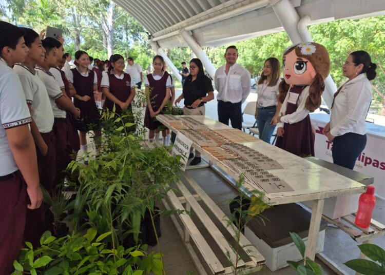 Fomentan la educación ambiental y forestal entre estudiantes