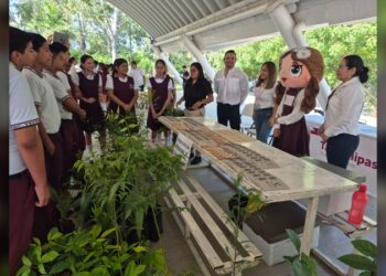 Fomentan la educación ambiental y forestal entre estudiantes