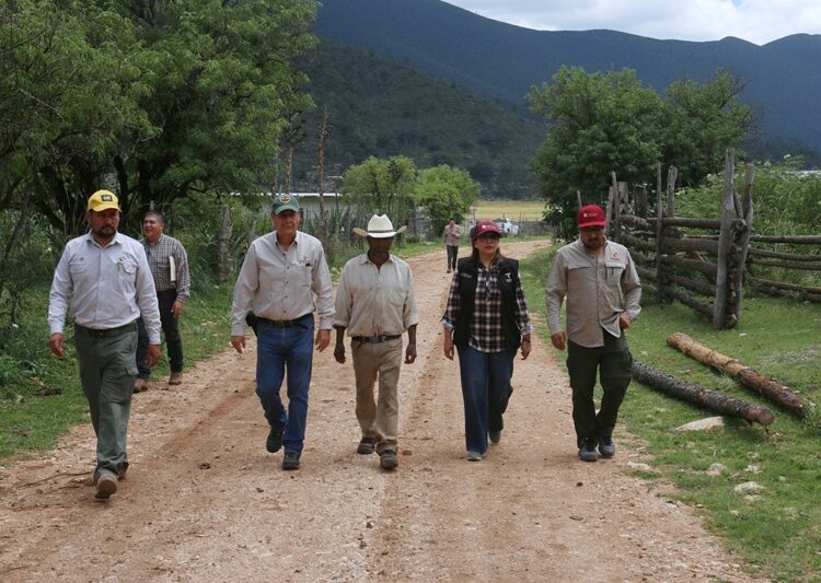 Fortalecen SEDUMA y CONAFOR economía local y conservación ambiental en Miquihuana