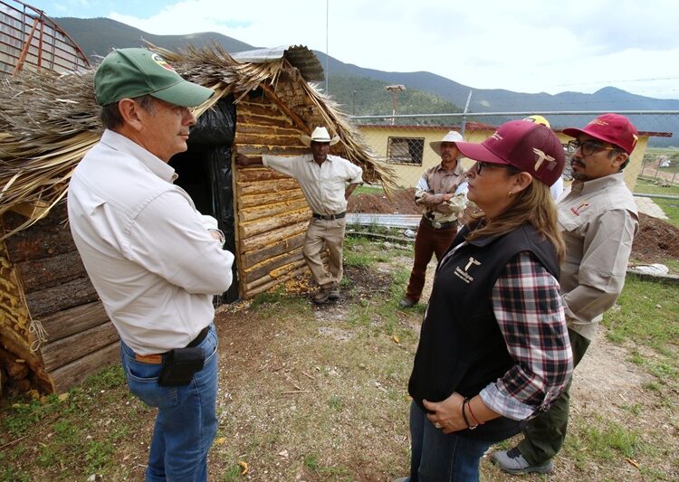 Fortalecen SEDUMA y CONAFOR economía local y conservación ambiental en Miquihuana