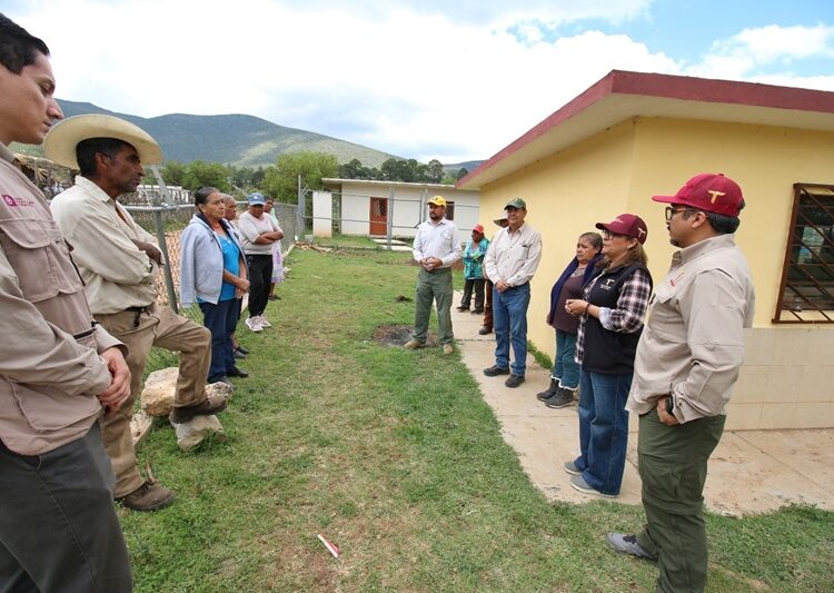 Fortalecen SEDUMA y CONAFOR economía local y conservación ambiental en Miquihuana