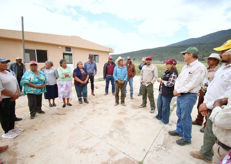 Fortalecen SEDUMA y CONAFOR economía local y conservación ambiental en Miquihuana