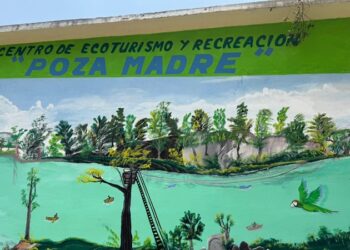 Impulsa Tamaulipas turismo comunitario con nuevas cabañas en la Poza Madre de Ocampo