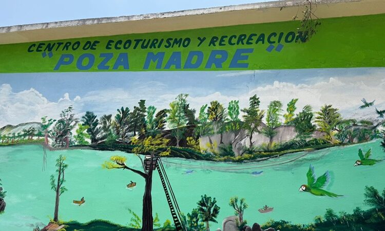 Impulsa Tamaulipas turismo comunitario con nuevas cabañas en la Poza Madre de Ocampo