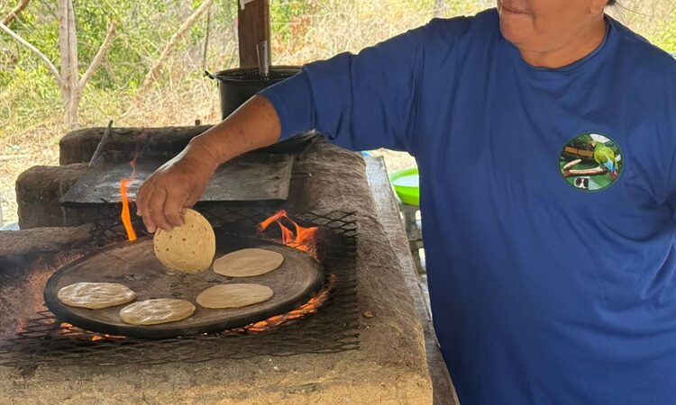 Impulsa Tamaulipas turismo comunitario con nuevas cabañas en la Poza Madre de Ocampo