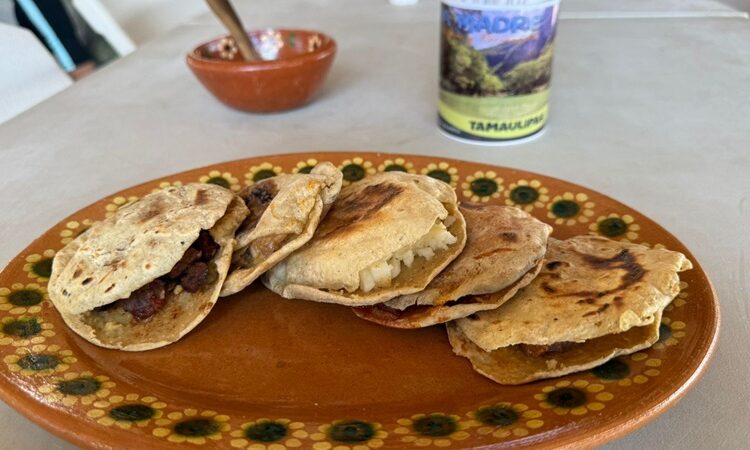 Impulsa Tamaulipas turismo comunitario con nuevas cabañas en la Poza Madre de Ocampo