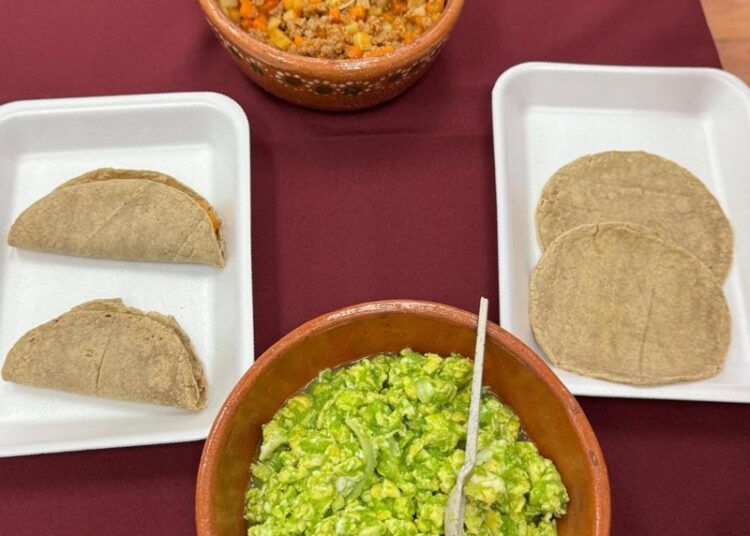 Impulsan COLTAM y UAT investigación sobre harina de sorgo blanco, alineada a ejes del gobierno estatal