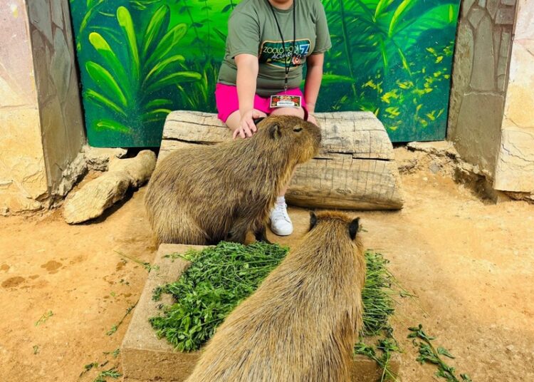 Niños de ‘Zoo Kids’ disfrutan de un fin de semana lleno de aprendizaje en el Zoo de NLD