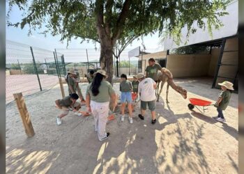 Niños de ‘Zoo Kids’ disfrutan de un fin de semana lleno de aprendizaje en el Zoo de NLD