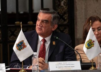 Participa AVA en ‘Consejo Nacional de Seguridad Pública’