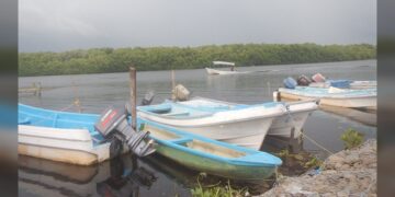 Piden a pescadores de Tamaulipas hacer captura sostenible de camarón