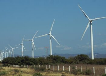 Promueven uso de energías limpias en municipios de Tamaulipas para reducir pagos a la CFE