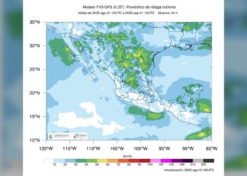 Pronostica SMN lluvias y vientos fuertes por frente frío número 1 en Tamaulipas