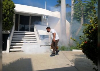 Se reportan 392 casos de dengue en Tamaulipas