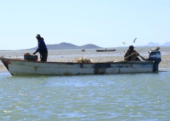 Sigue la investigación por supuesto impacto de SpaceX en pesca tamaulipeca