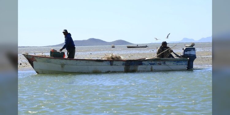 Sigue la investigación por supuesto impacto de SpaceX en pesca tamaulipeca