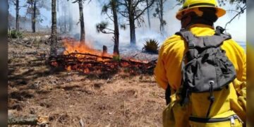 Auditoría de Tamaulipas revisará a fondo los contratos de aseguradoras con secretarías