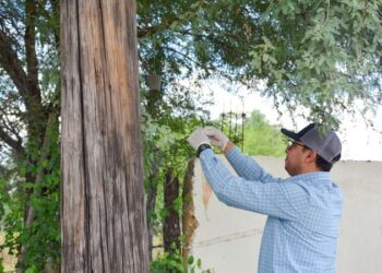 Auditoría de Tamaulipas revisará a fondo los contratos de aseguradoras con secretarías