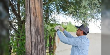 Auditoría de Tamaulipas revisará a fondo los contratos de aseguradoras con secretarías