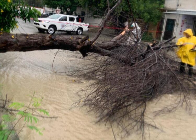 Activa y mantiene Gobierno de Victoria acciones de auxilio a la población por intensa lluvia