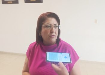 Rechaza diputada acusaciones de corrupción contra agentes aduanales de Tamaulipas