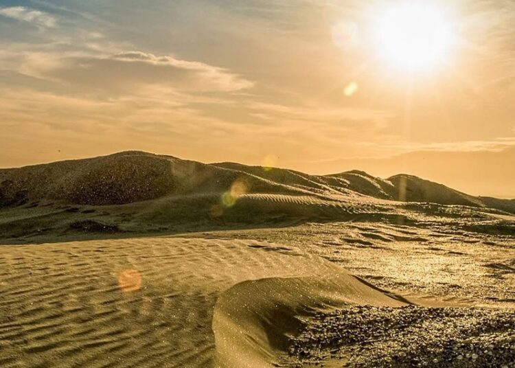 “Avanza integración de los Consejos Municipales de Turismo”: Sectur