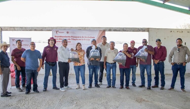 Avanza repoblamiento pesquero en Tamaulipas con la siembra de 200 mil alevines