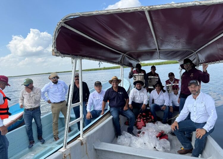 Avanza repoblamiento pesquero en Tamaulipas con la siembra de 200 mil alevines