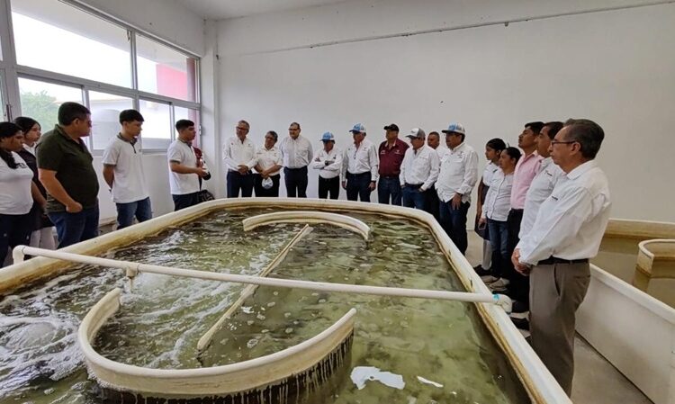 Celebra UTMART Bicentenario 15 años de formación académica y compromiso social