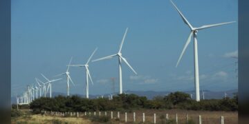 Prevén cañeros de Tamaulipas zafra histórica para noviembre