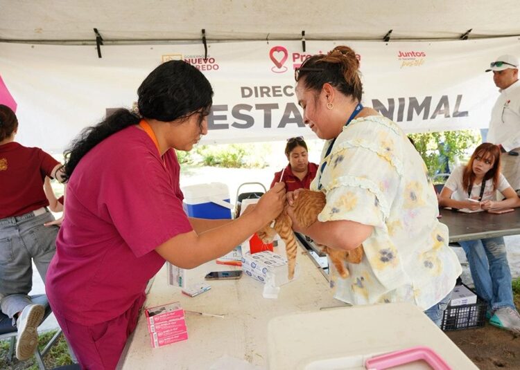 Consulta médica, vacunas para mascotas y trámites gratis en “Presidencia Cerquita de Ti”