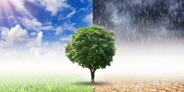 24 de octubre, ‘Día Mundial contra el Cambio Climático’