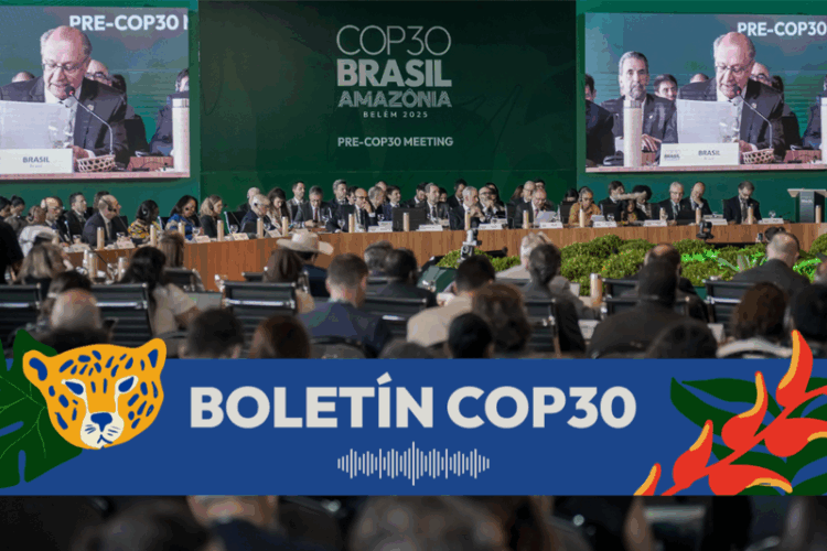 24 de octubre, ‘Día Mundial contra el Cambio Climático’