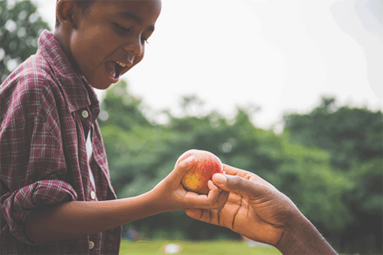 16 de octubre, Día Mundial de la Alimentación