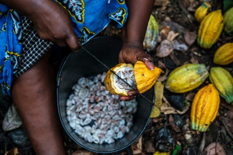 16 de octubre, Día Mundial de la Alimentación