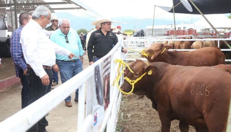 Feria Tamaulipas 2025, tendrá 12 días de fiesta