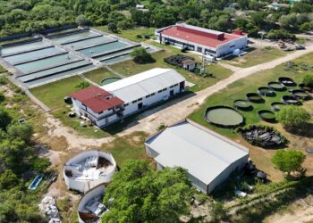 Fortalece Gobierno del Estado infraestructura educativa en la UTMarT