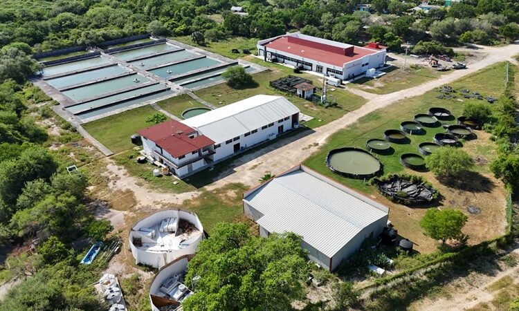 Fortalece Gobierno del Estado infraestructura educativa en la UTMarT